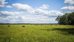 Produžen rok za podnošenje Jedinstvenog zahtjeva za izravne potpore poljoprivredi i IAKS mjere ruralnog razvoja