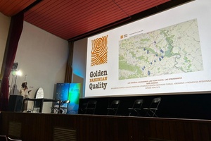 Radionica/Policy lab LmH: Vrijednosti CLLD-LEADER-a koje smo postigli - potrebe/razvojni ciljevi lokalnih zajednica za buduće programsko razdoblje, rujan 2025.